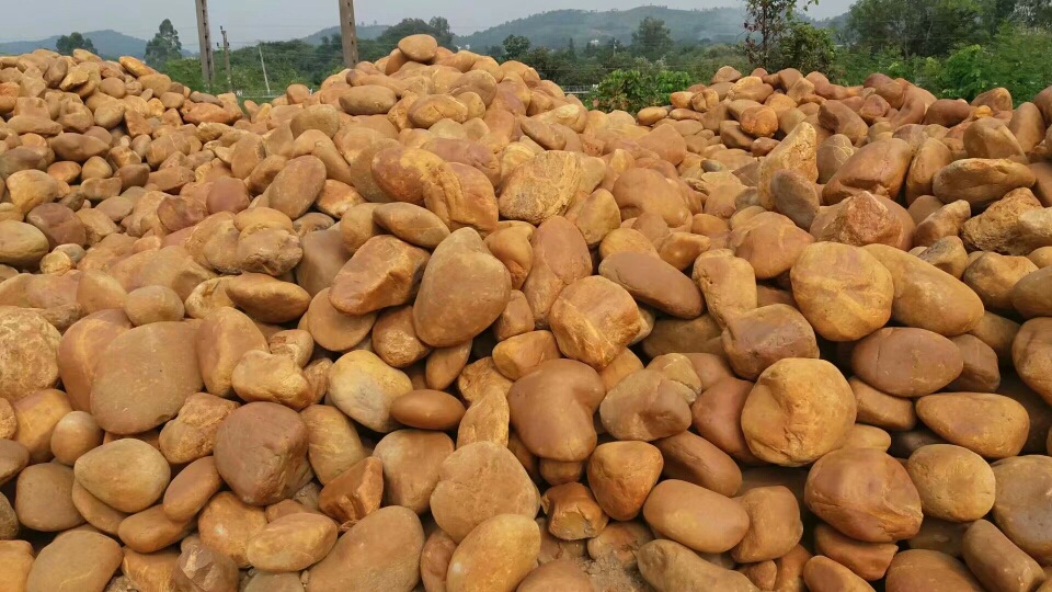 园林景观绿化鹅卵石厂家 广东灰白色鹅卵石产地广东灰白色鹅卵石