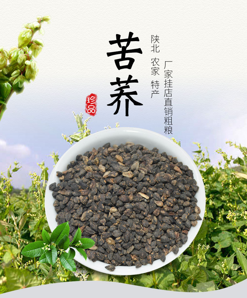 黑苦荞 麻苦荞 甜荞芽酿酒种子专用500g5件包邮2019年新种子
