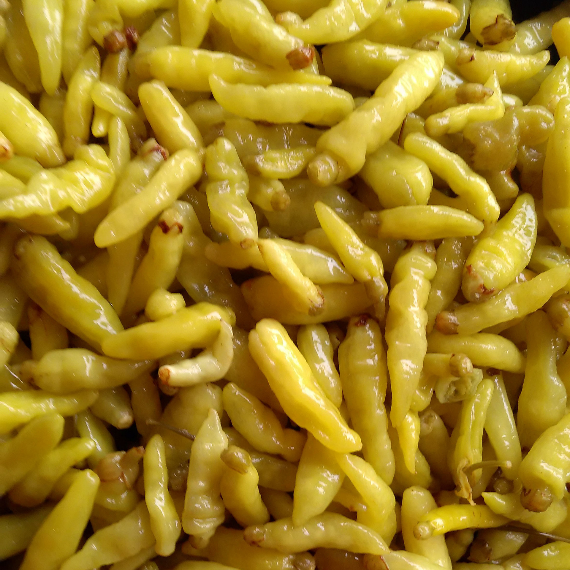 厂家泡小米辣椒四川泡野山椒小米椒泡辣椒凤爪30公斤散装泡椒批发