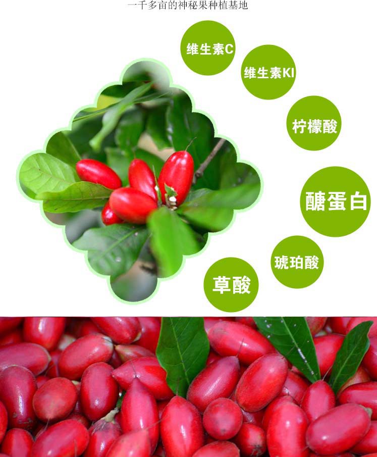 神秘果鲜果 蜜拉圣果实 奇迹果 神奇水果变味果 10粒装