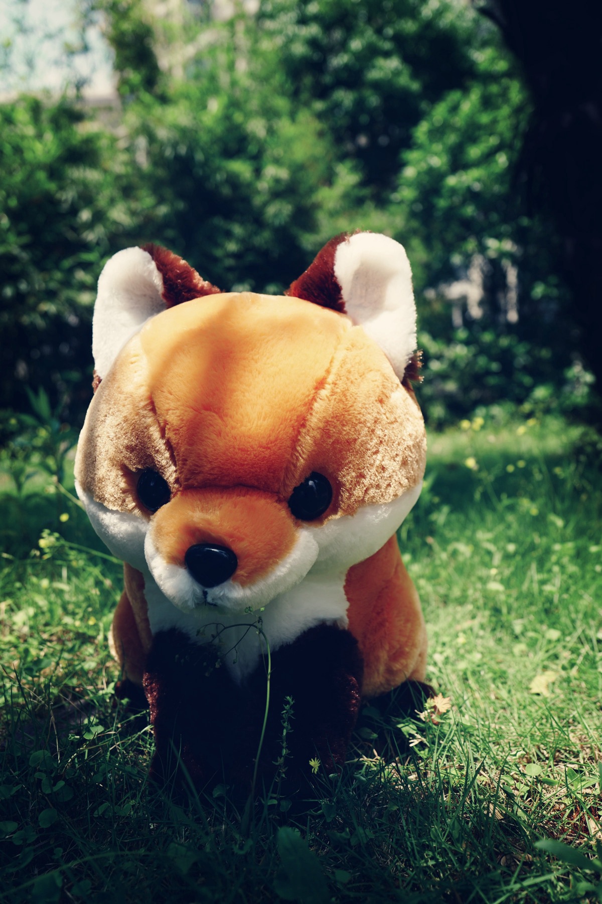 批发卡通仿真长尾狐狸公仔毛绒玩具抱枕情人节礼物