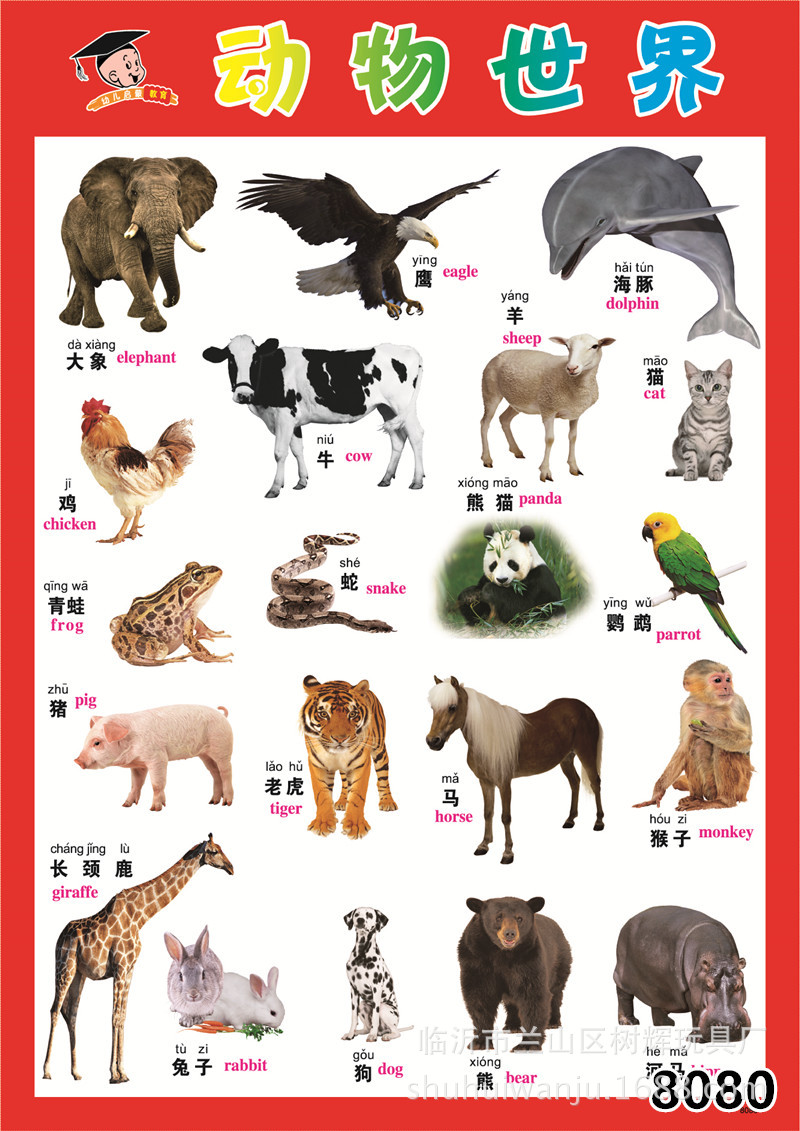宝宝益智早教无声挂图 看图识字识物图画 婴幼儿童科教启蒙玩具