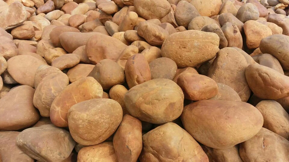 园林景观绿化鹅卵石厂家 广东灰白色鹅卵石产地广东灰白色鹅卵石