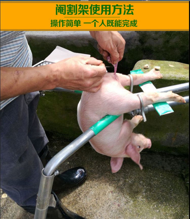 阉割架 猪用阉割器 不锈钢 阉猪器 阉割刀工具 养猪设备 阉猪架
