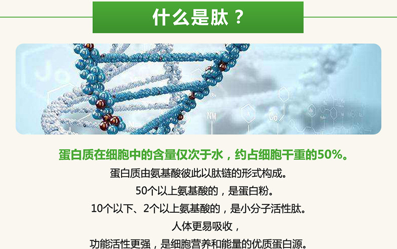 可做袋泡茶 斯诺特厂家直销 【产品名称】:荷叶多肽粉 小分子肽  易