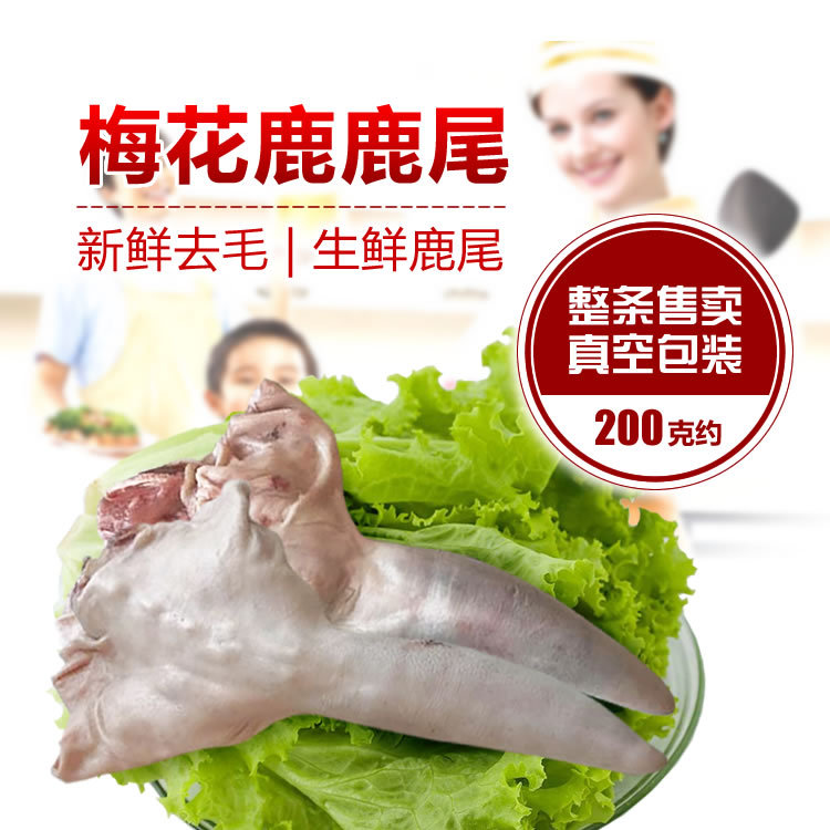 【瑞宏】批发梅花鹿鲜鹿尾巴 带毛尾巴 去毛鹿尾巴鹿场直销