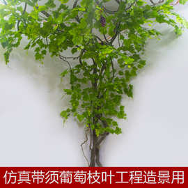 葡萄树仿真