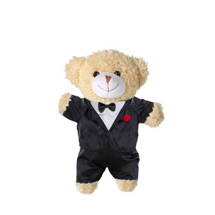 定制穿衣服小熊公仔 穿衣泰笛熊毛绒玩具 坐姿小熊毛绒公仔可印lo