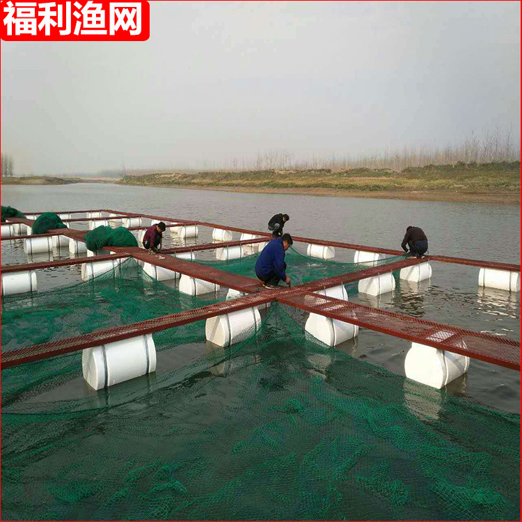 厂家热销淡水养殖网箱 鱼苗虾网箱 水产养殖浮箱 按需