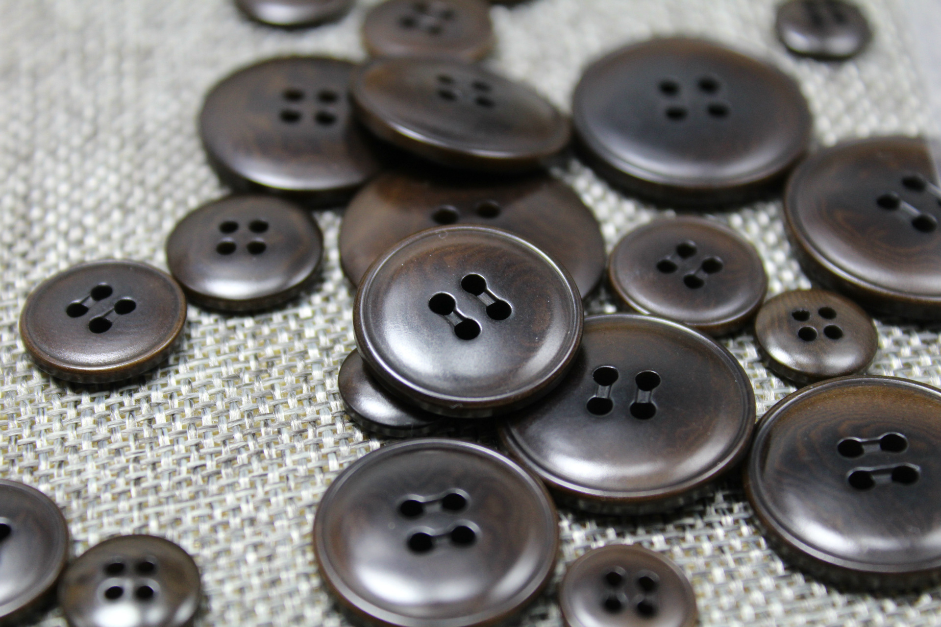 天然棕榈果仁纽扣藏青色深棕色果实扣 男女衬衫扣西装呢子大衣扣