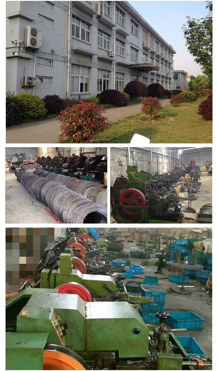 宁波毅林不锈钢304螺丝批发 304十字圆头沉头自攻机牙不锈钢螺丝