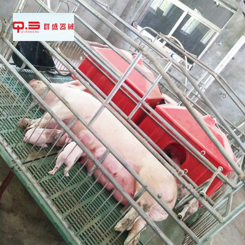 母猪产床复合板加厚猪床 单体双体产床 仔猪分娩床养殖设备猪产床