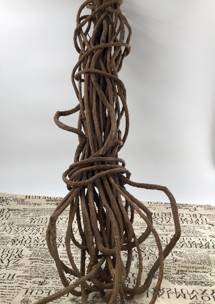 供应天然树藤 精美装饰枯藤 挂壁墙饰藤条拍摄道具 定制批发