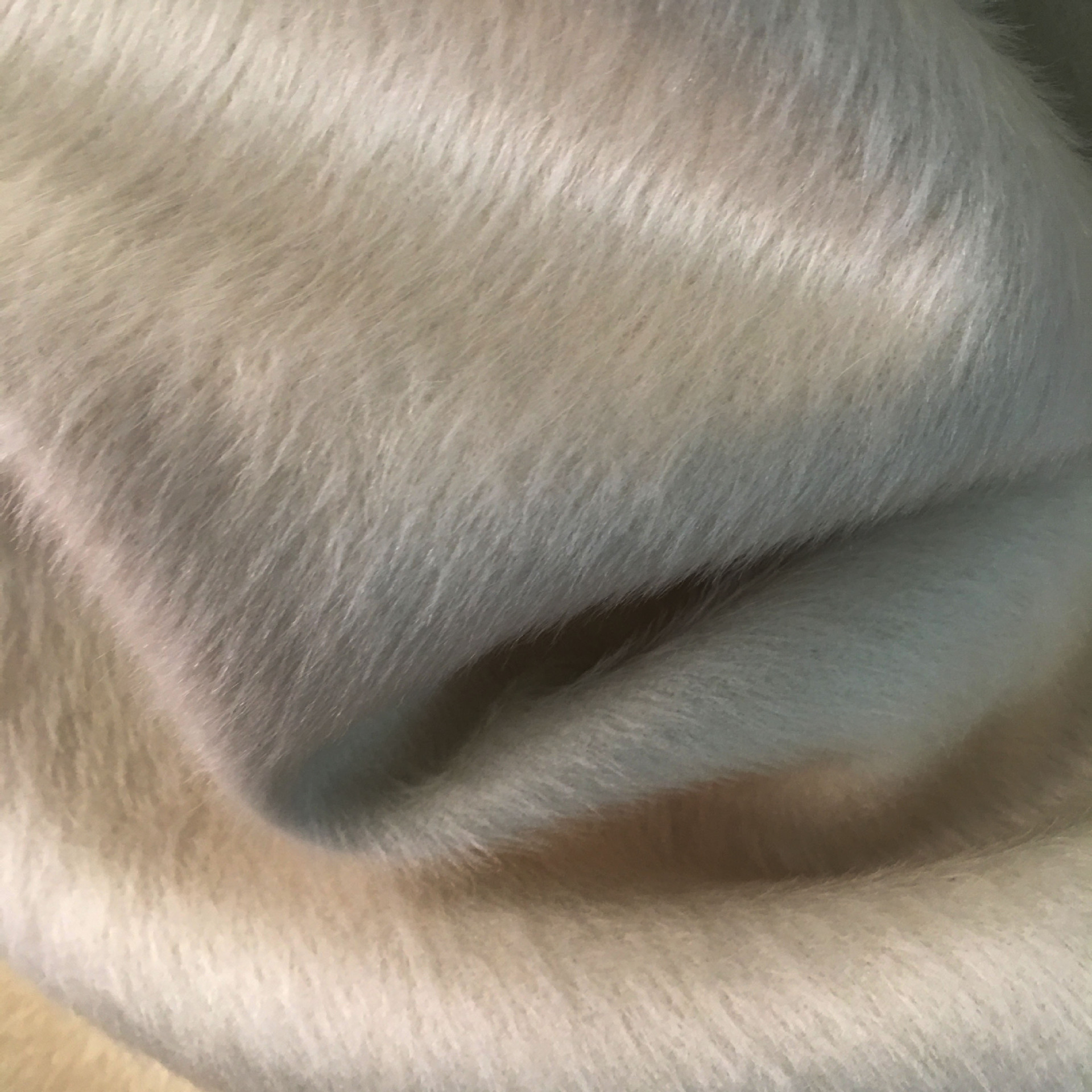 单面素色长毛阿尔巴卡羊驼绒面料 秋冬大衣时装服装用布