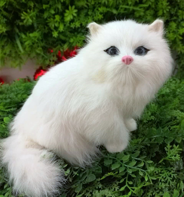 波斯猫系列产品三号波斯猫b28猫咪生日礼物兔皮毛纯手工制作
