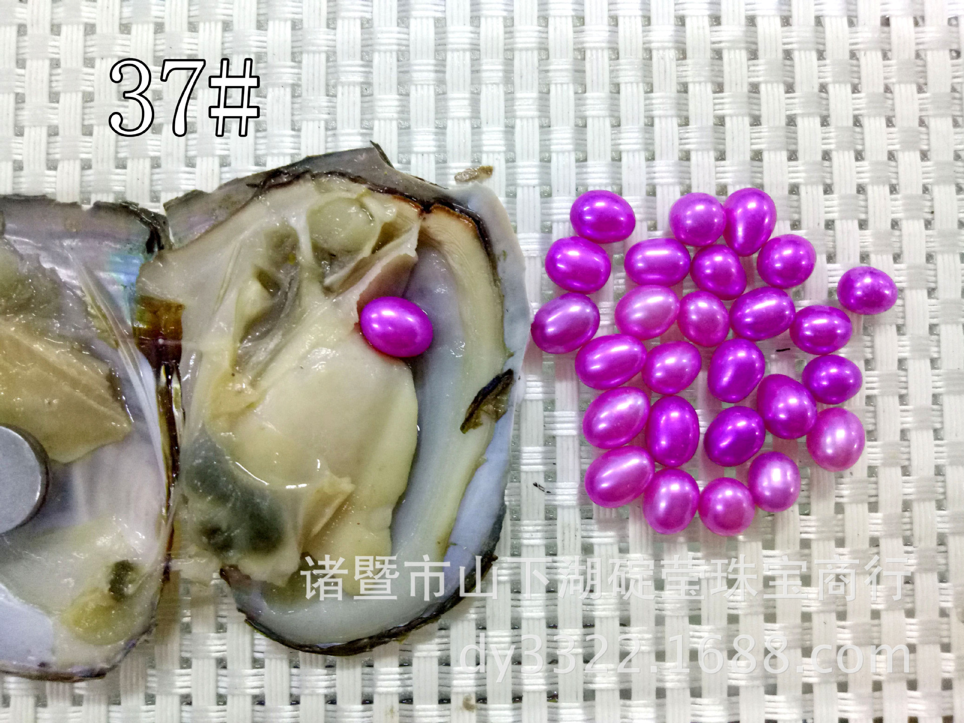 5a淡水河蚌珍珠真空地摊珍珠海水蚌小贝一件起批彩色米形珍珠贝