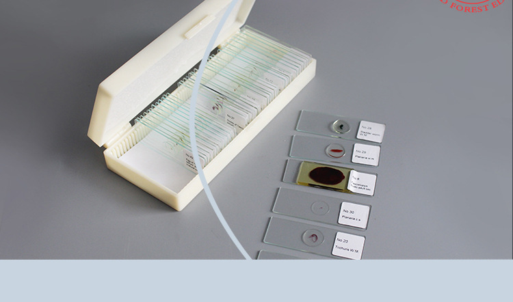 厂家直销生物切片标本寄生虫学装片玻片标本42片寄生