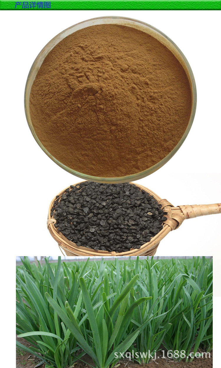 韭菜籽提取物101韭菜仁浓缩粉韭籽粉