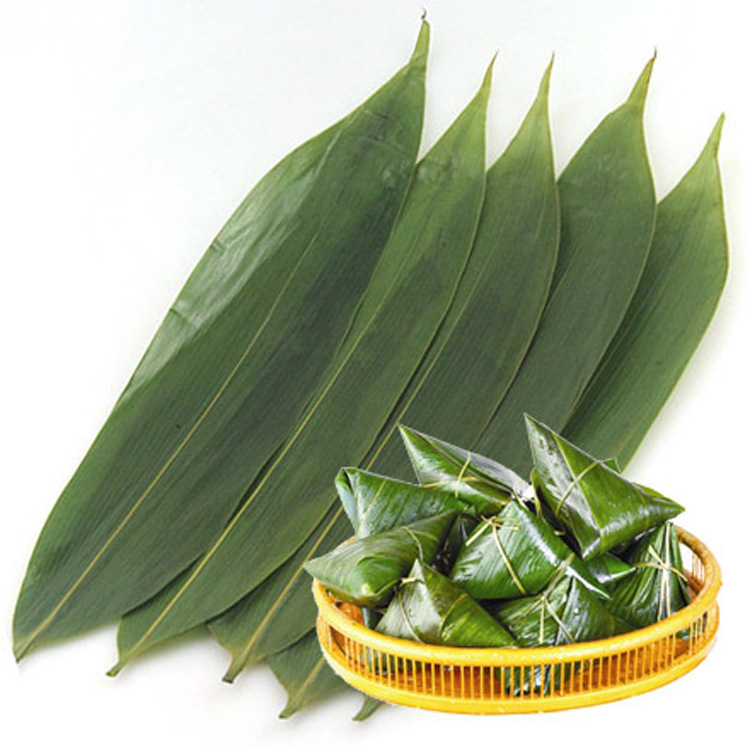 粽叶粽子叶又一春粽叶新鲜真空粽子叶端午节包粽子的叶子