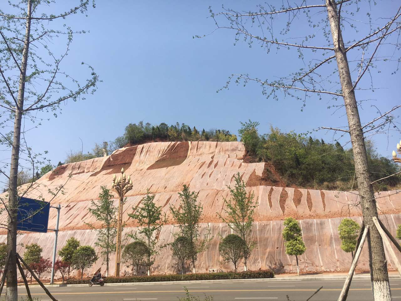 种子边坡绿化加快生态文明的建设进程