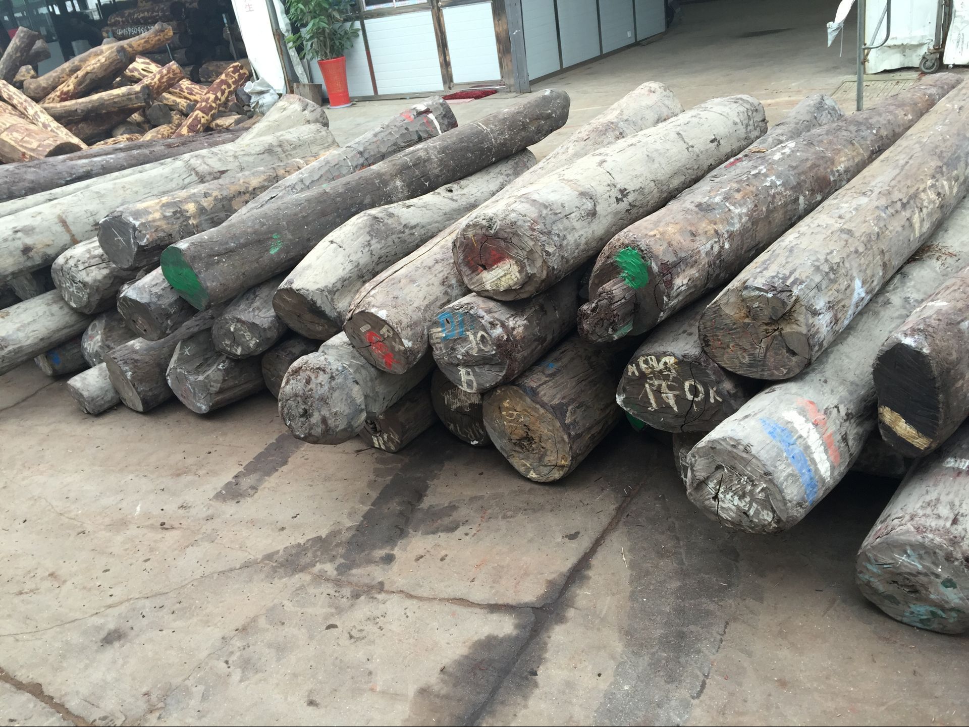 马达加斯加原木卢氏黑黄檀 红木红木原木大叶紫檀大叶紫檀木料