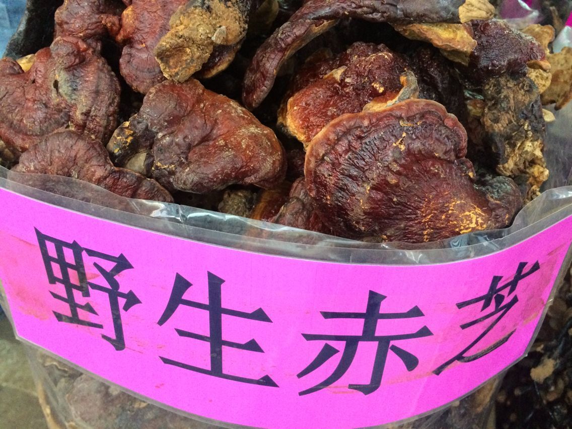 产地采收,产地发货,非人工仿野生栽培品种,是高山采摘的,赤木灵芝