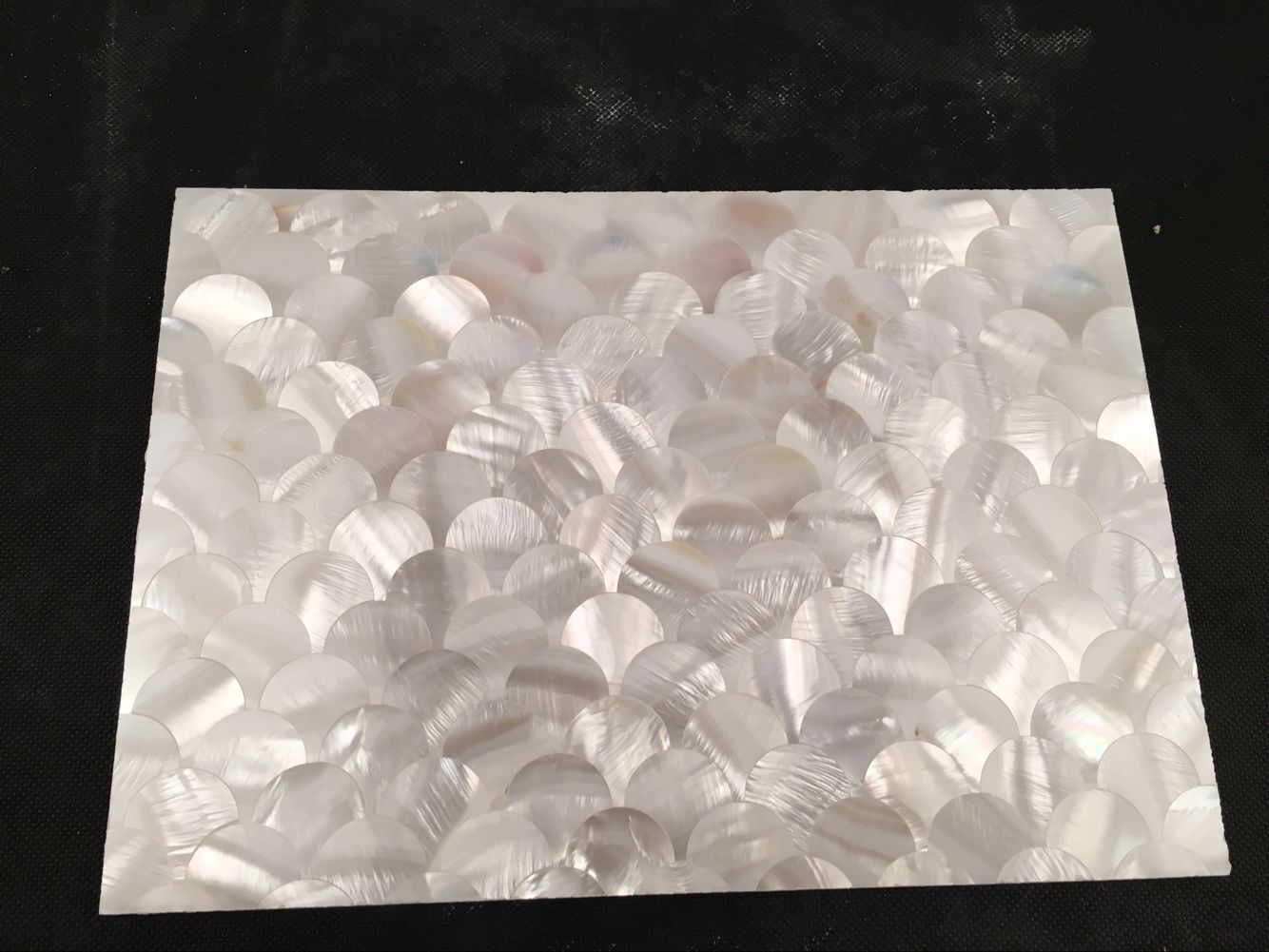 贝壳马赛克厂家 扇形贝壳自然色密拼 贝壳 马赛克 贝壳板