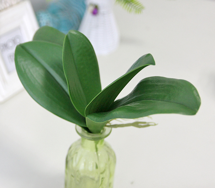 大号5片叶蝴蝶兰叶子 仿真植物墙配材 pu仿真花插花叶子 家居装饰