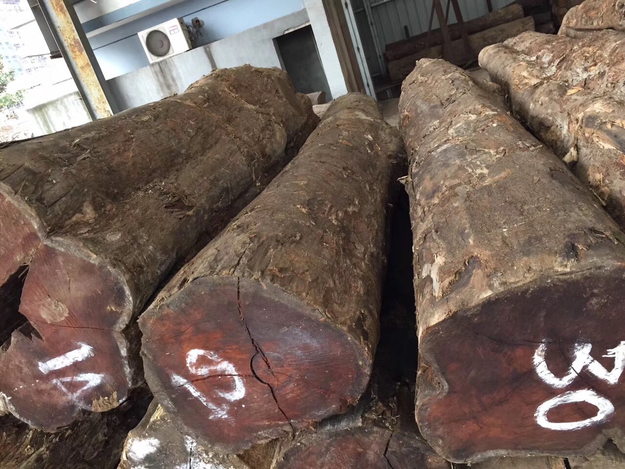 印尼 大叶黄花梨原木长叶雀肾 木板材伯利兹黄檀 张家港广星木业