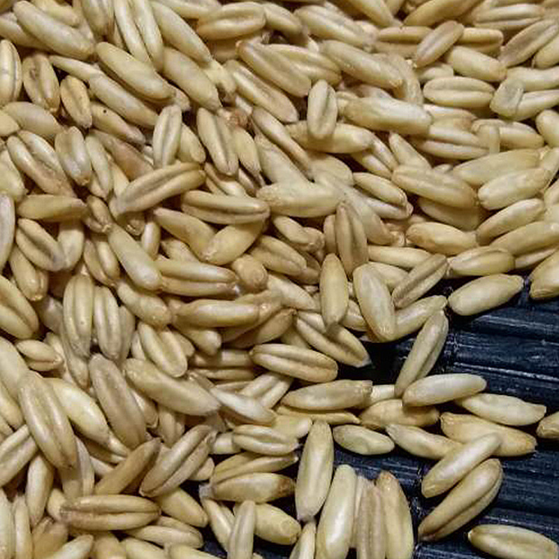 燕麦米燕麦米裸燕熟燕莜麦燕麦