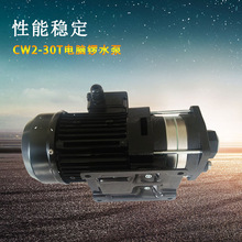 cw2-30t电脑锣水泵 切削马达CW2-30T电火花机卧式马达