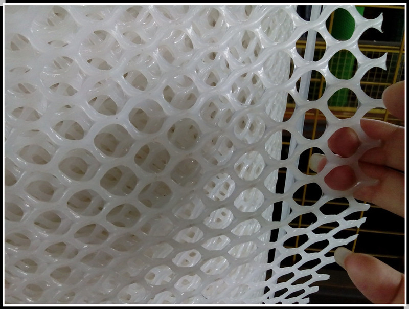 广州厂家供应塑料平网 养殖塑料网片 养鸡塑料平网 塑料床垫网