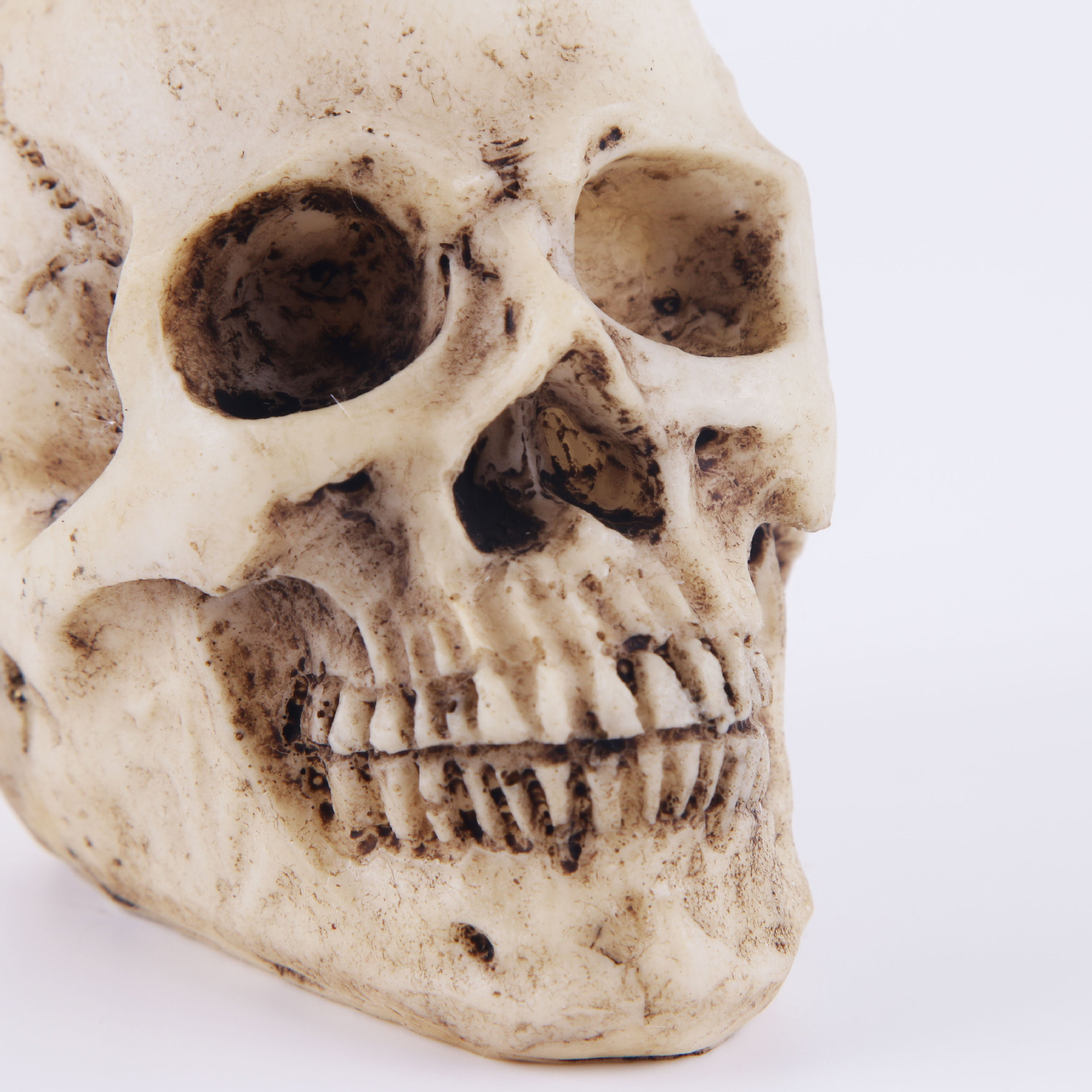 树脂骷髅头 迷你小头骨 工艺品 个性摆件 外贸供货 办公室摆件