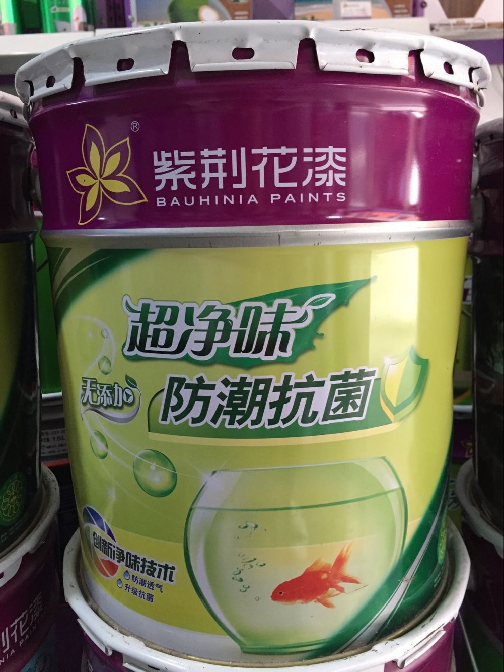 紫荆花 净味防潮抗菌墙面漆 内墙墙面漆乳胶漆 15l