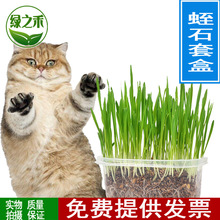 批发手工种植猫草套装 水晶泥套装猫草 手工猫零食 猫草种植套装