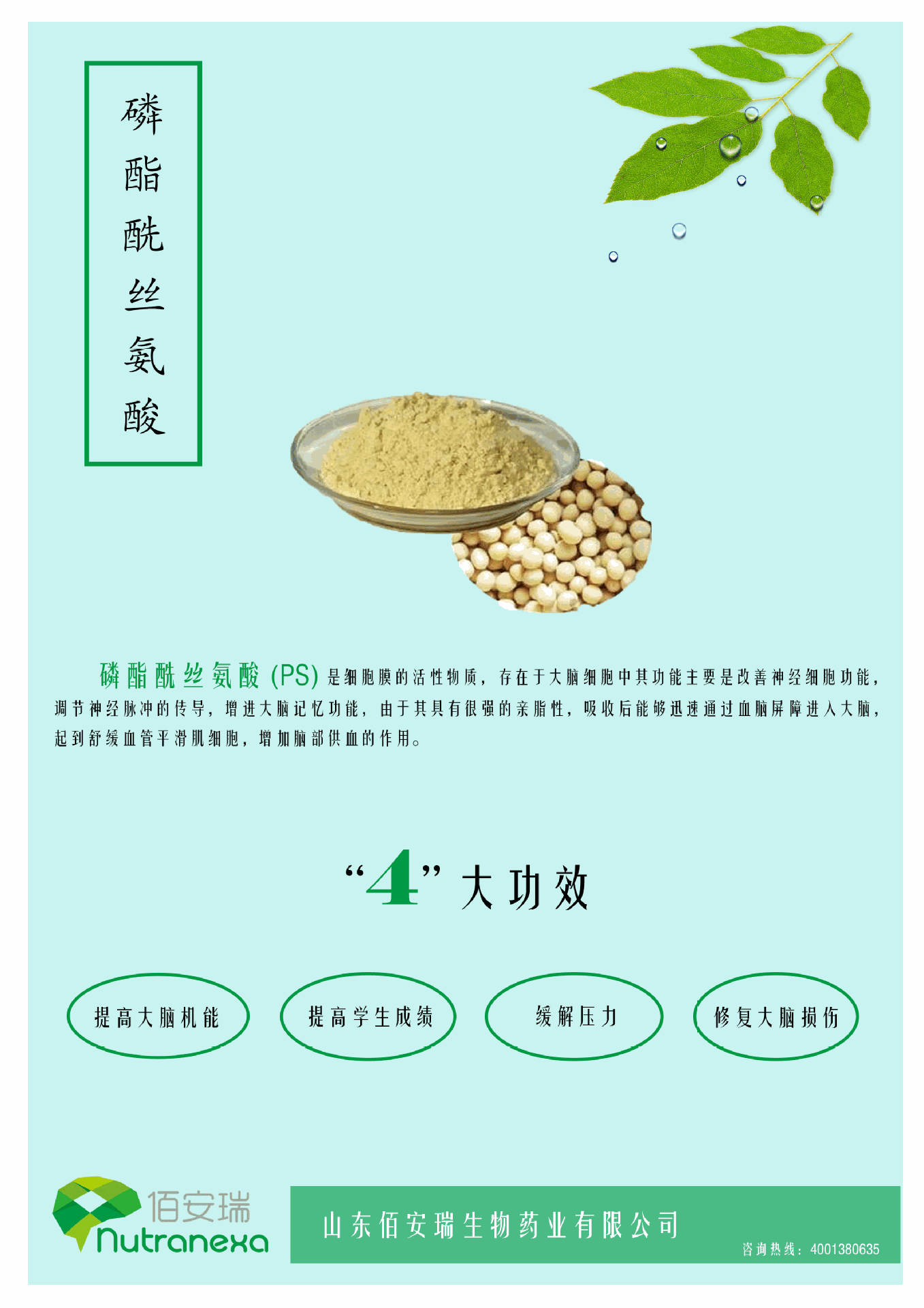 磷脂酰丝氨酸&mdash;&mdash;大脑重要的智能营养素