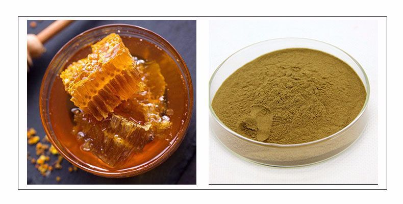 蜂胶提取物 蜂胶粉 自有蜂巢基地