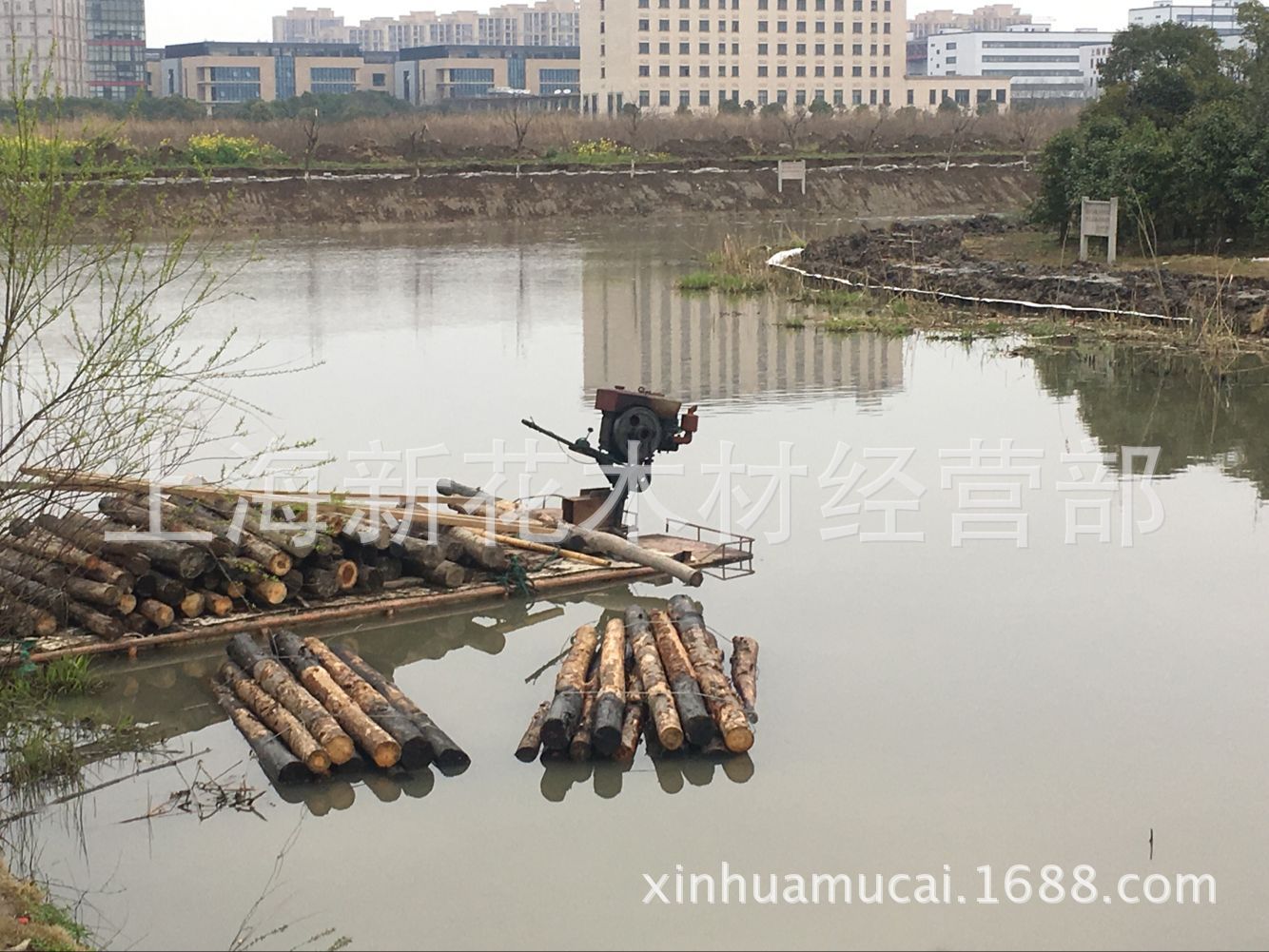 一手杉木桩批发 杉木桩价格 河道打桩用的木桩 木材打桩木 柳杉木