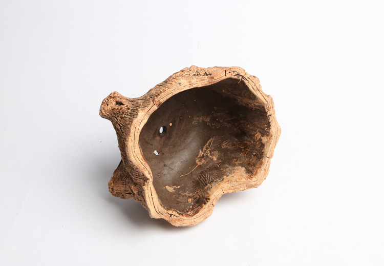 创意水泥仿树头双缸树根木头多肉花盆批发绿植微景观组合盆栽绿植