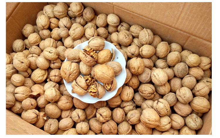 2021 新货手剥原味生核桃薄皮500g新疆阿克苏185纸皮核桃散装批发