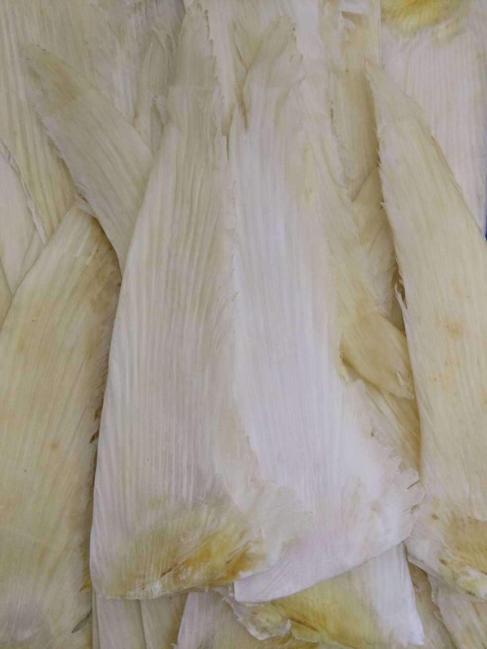 鱼翅16至18寸 煲汤必备