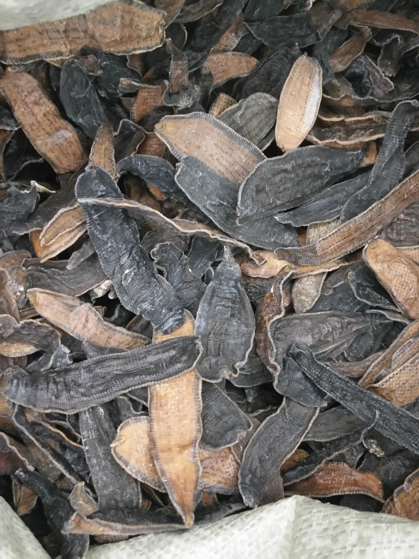 老兵诚信中药材 水蛭 清水吊杆水蛭干 蚂蟥干 活体水蛭 支持药检