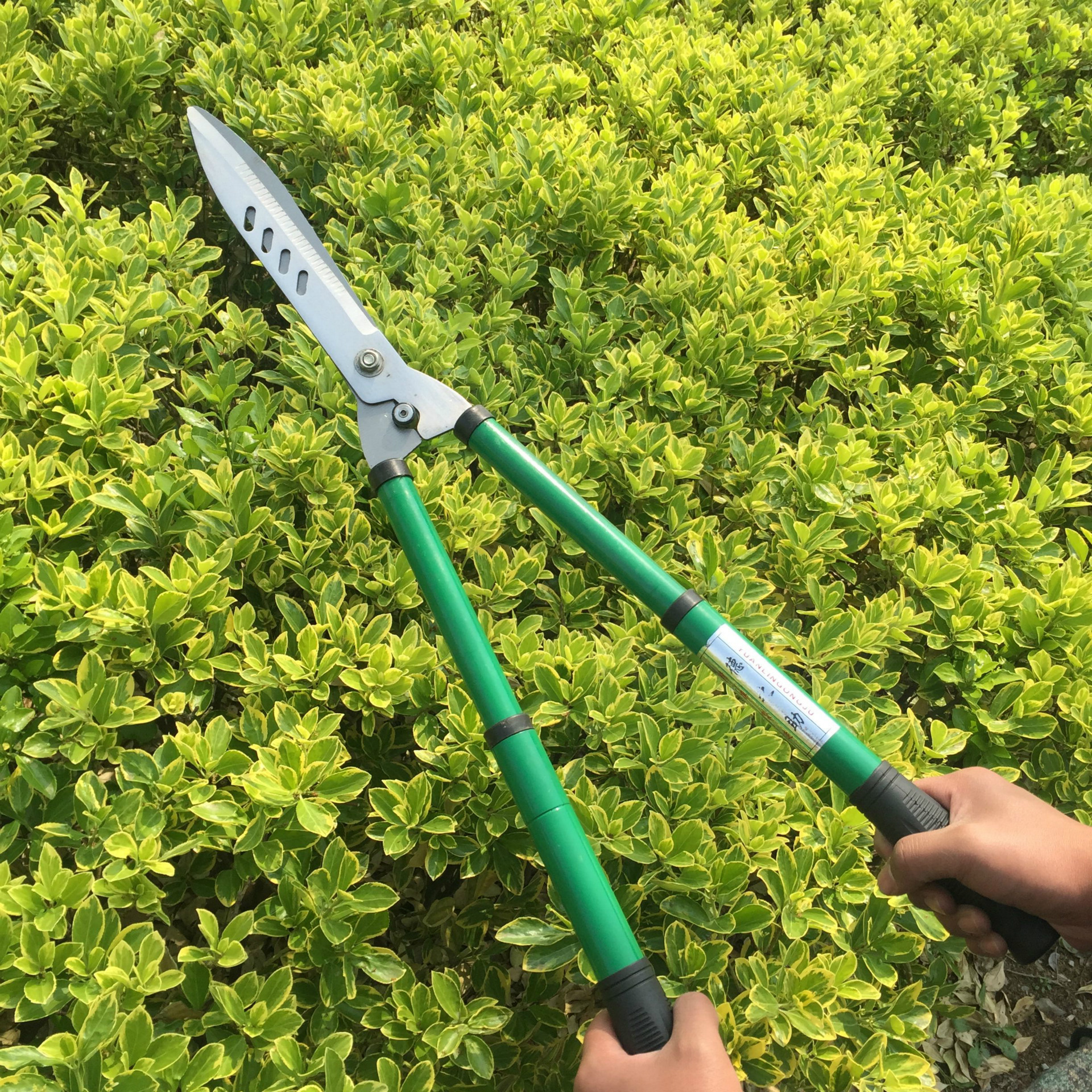 厂家直销德之助 伸缩草坪剪 篱笆剪 冬青果枝剪园林绿化修枝剪刀