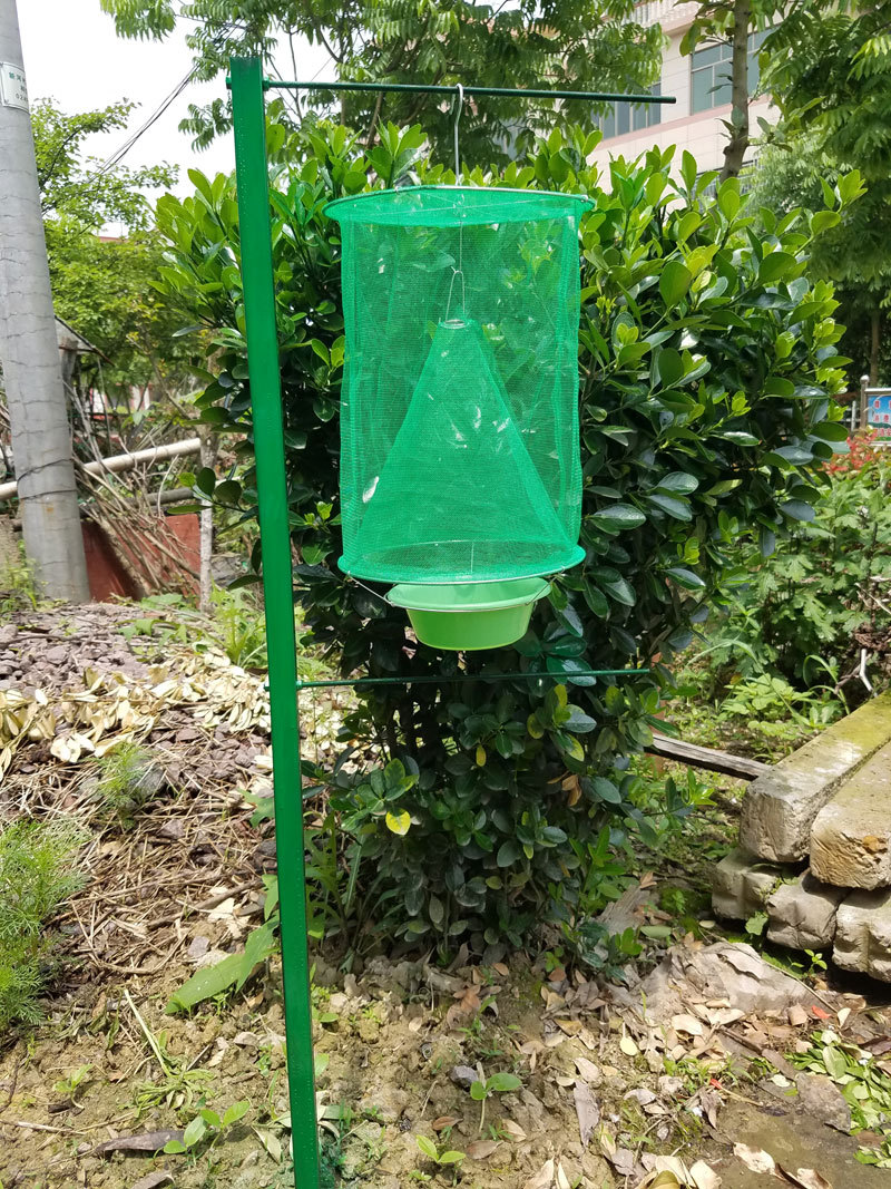立式高效灭苍蝇笼捕蝇器入地式可拆卸捕蝇笼灭蝇器