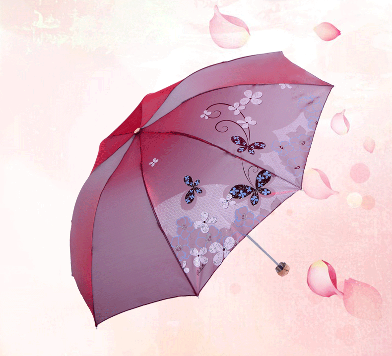 伞 雨伞 790_718 gif 动态图 动图