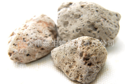 【金康泰生物】海浮石提取物 10:1 20:1 海浮石粉 现货包邮