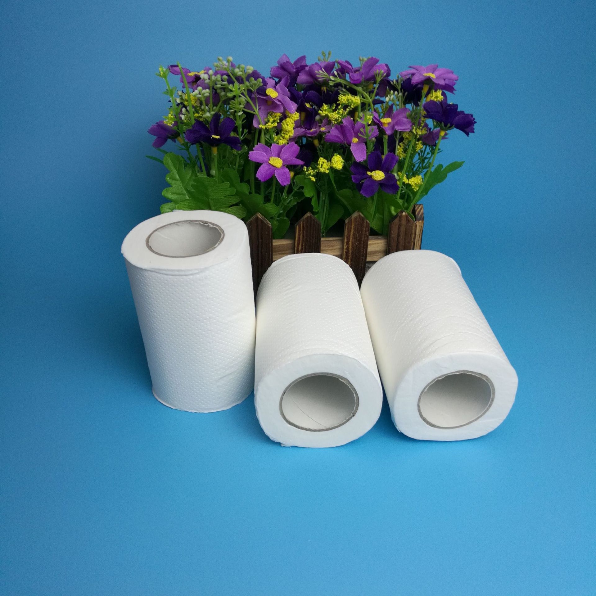 50g三层宾馆用厕纸 酒店小卷卫生纸客房纸巾整箱192卷广东省包邮