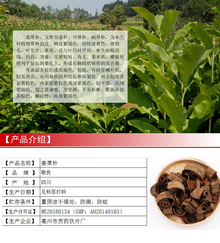姜厚朴 姜制厚朴 制川朴 支持药检 承接订单 gmp资质 规格齐全
