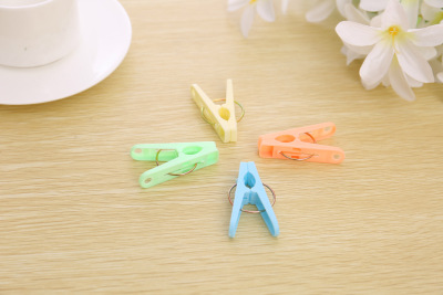 晒袜夹子弹簧夹子防风晒衣夹晒被夹子防滑塑料架子义乌小商品2元