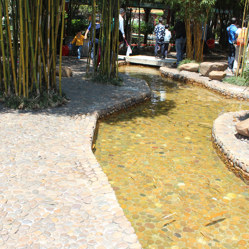 鹅卵石 按摩路铺砌效果好小石头 公司/工厂/公园/广场/铺路鹅卵石